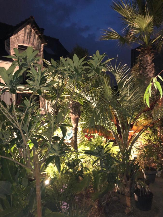 La Petite Maison Dans La Jungle *