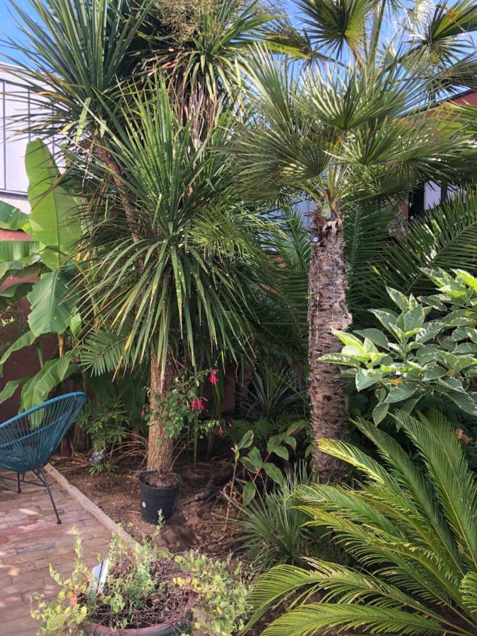 La Petite Maison Dans La Jungle Casa vacanze